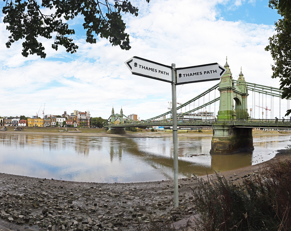 Thames near the Hammersmith bridge